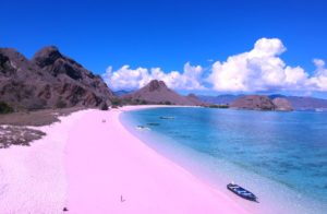 pink beach